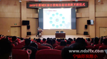 2019年新教师岗培新闻稿（初稿）(1)441.png